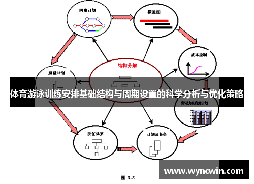 体育游泳训练安排基础结构与周期设置的科学分析与优化策略