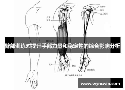臂部训练对提升手部力量和稳定性的综合影响分析